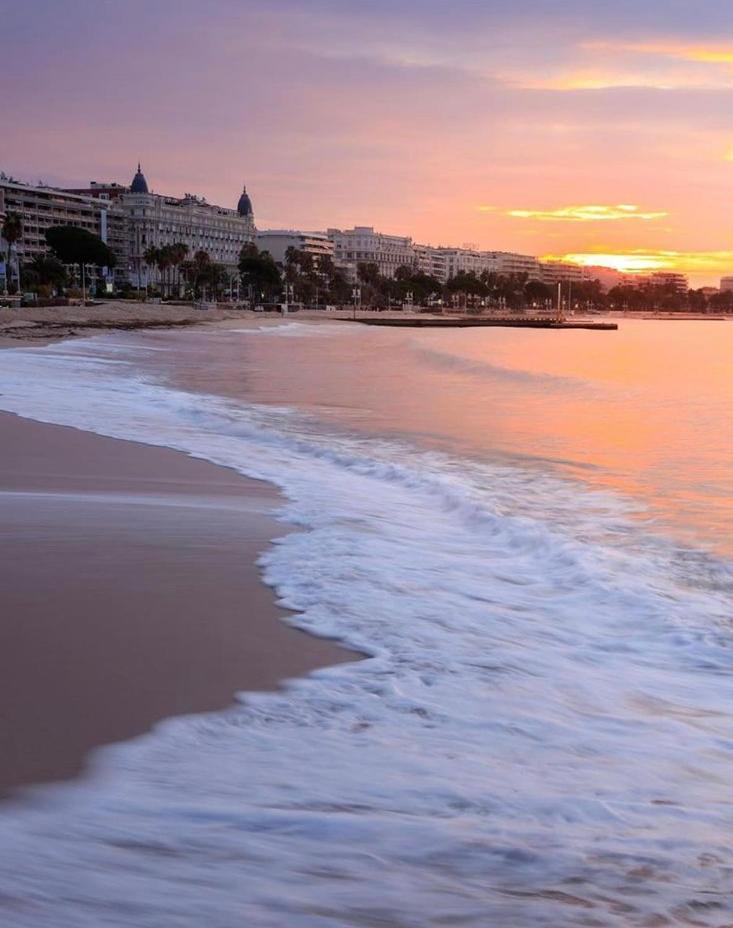 Superbe Studio Proche Palais Et Plages A Pieds Cannes Eksteriør billede