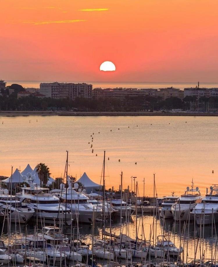 Superbe Studio Proche Palais Et Plages A Pieds Cannes Eksteriør billede