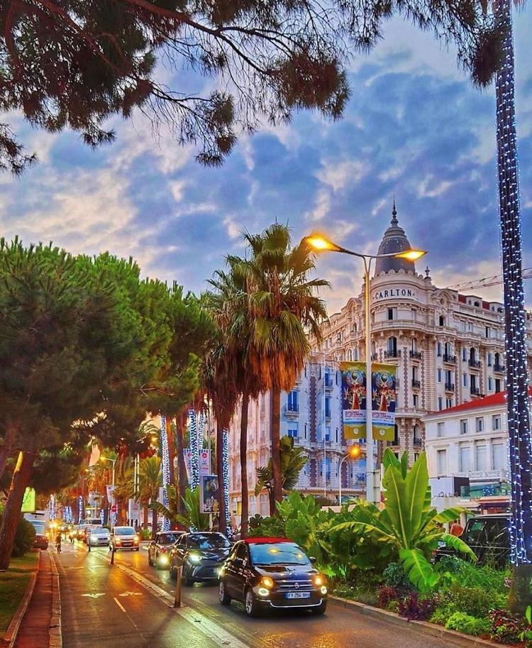 Superbe Studio Proche Palais Et Plages A Pieds Cannes Eksteriør billede